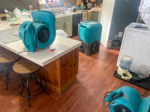 Best 24-hour water damage restoration  in Lake Don Pedro, CA