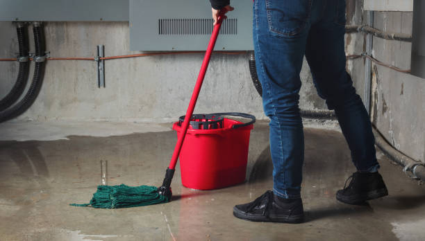 Best Flood damage cleanup  in Lake Don Pedro, CA