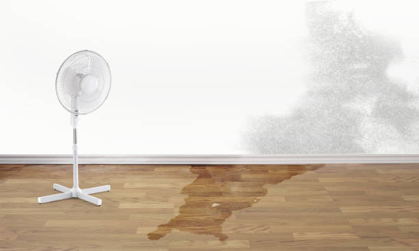 Best Water damage contractors near me  in Lake Don Pedro, CA
