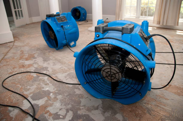 Best Flood restoration services  in Lake Don Pedro, CA