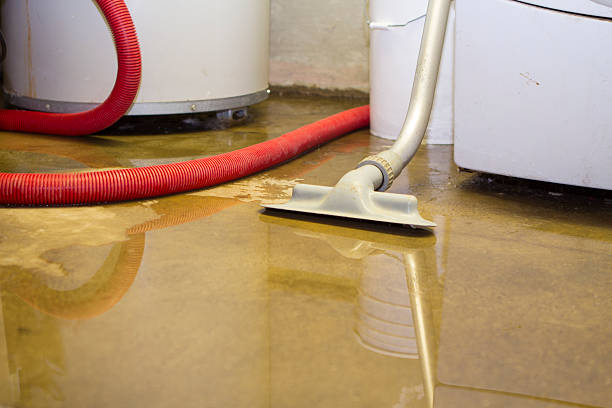 Best Flood damage cleanup  in Lake Don Pedro, CA