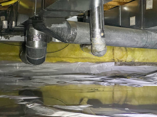 Best Professional water damage repair  in Lake Don Pedro, CA