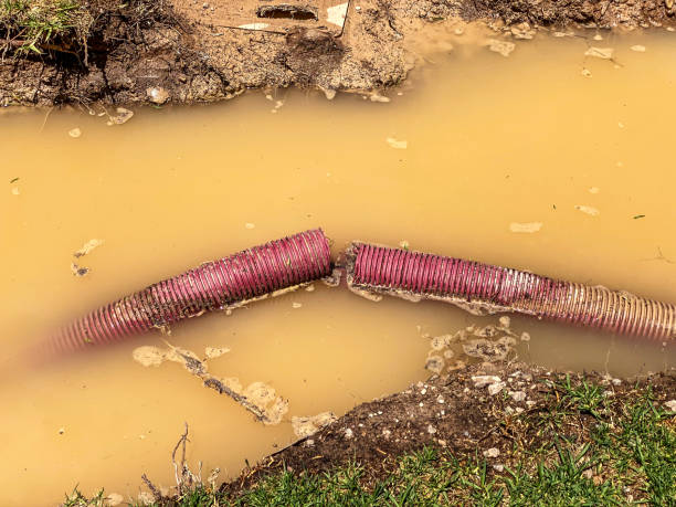 Best Water damage cleanup near me  in Lake Don Pedro, CA