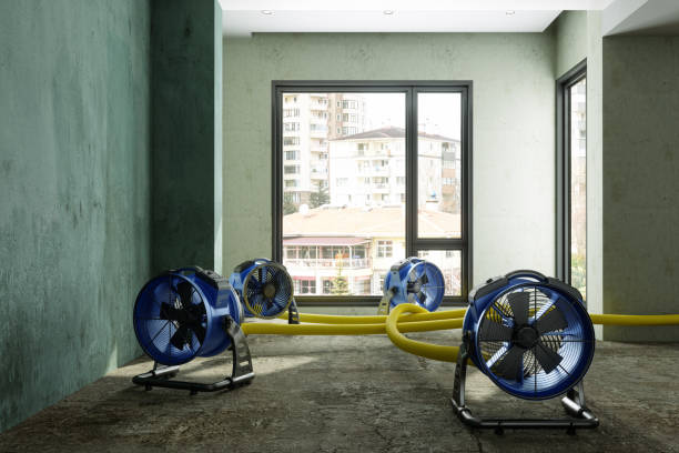 Best 24/7 water damage repair  in Lake Don Pedro, CA